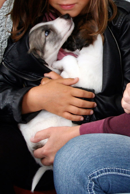 Surf Spots - Girl 2 Kissin'